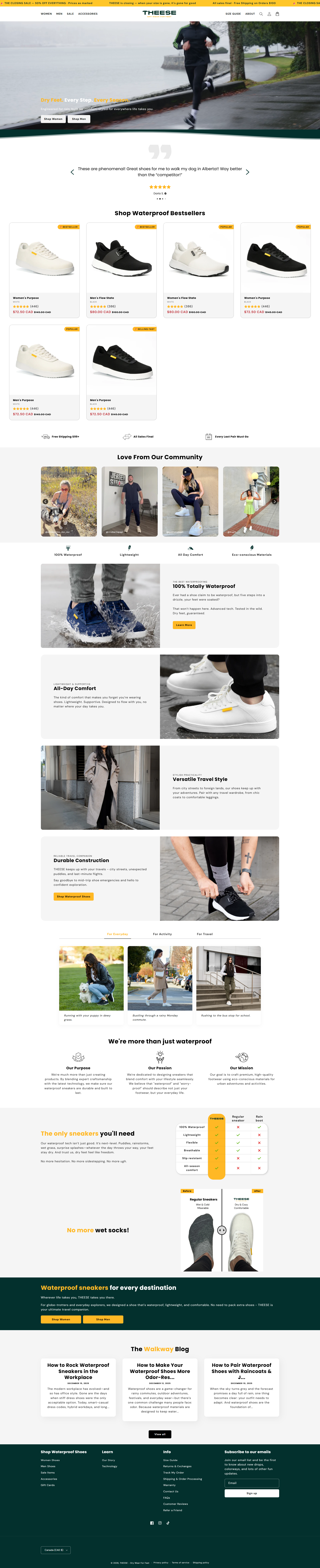 THEESE storefront homepage